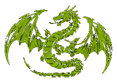Young Dragons Insulation logo