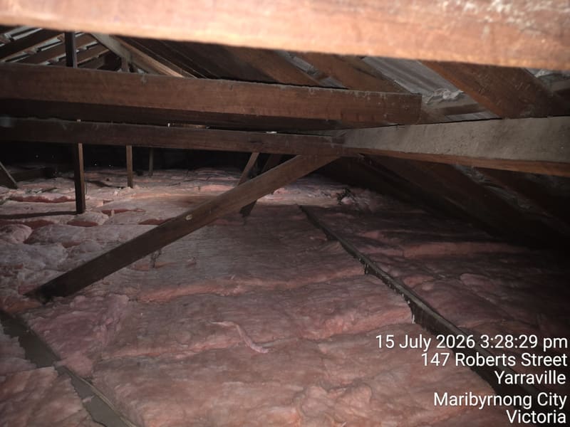 Residential Ceiling Insulation Install — yd-ceilinst-21089