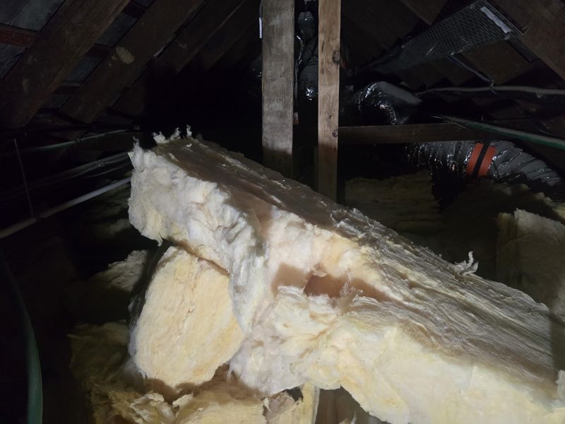 Ceiling Insulation Removal — yd-ceilrem-18744