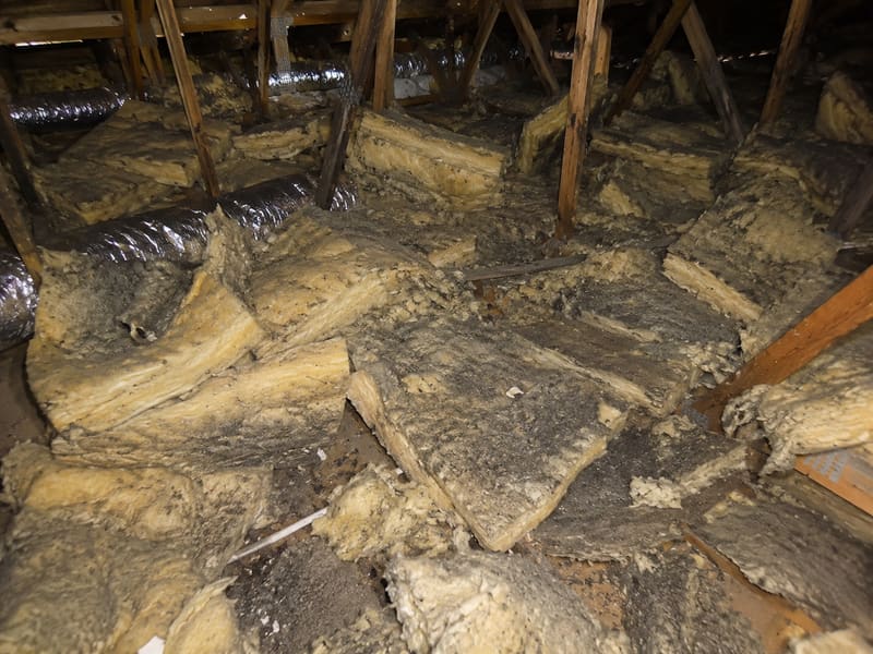Ceiling Insulation Removal — yd-ceilrem-21327